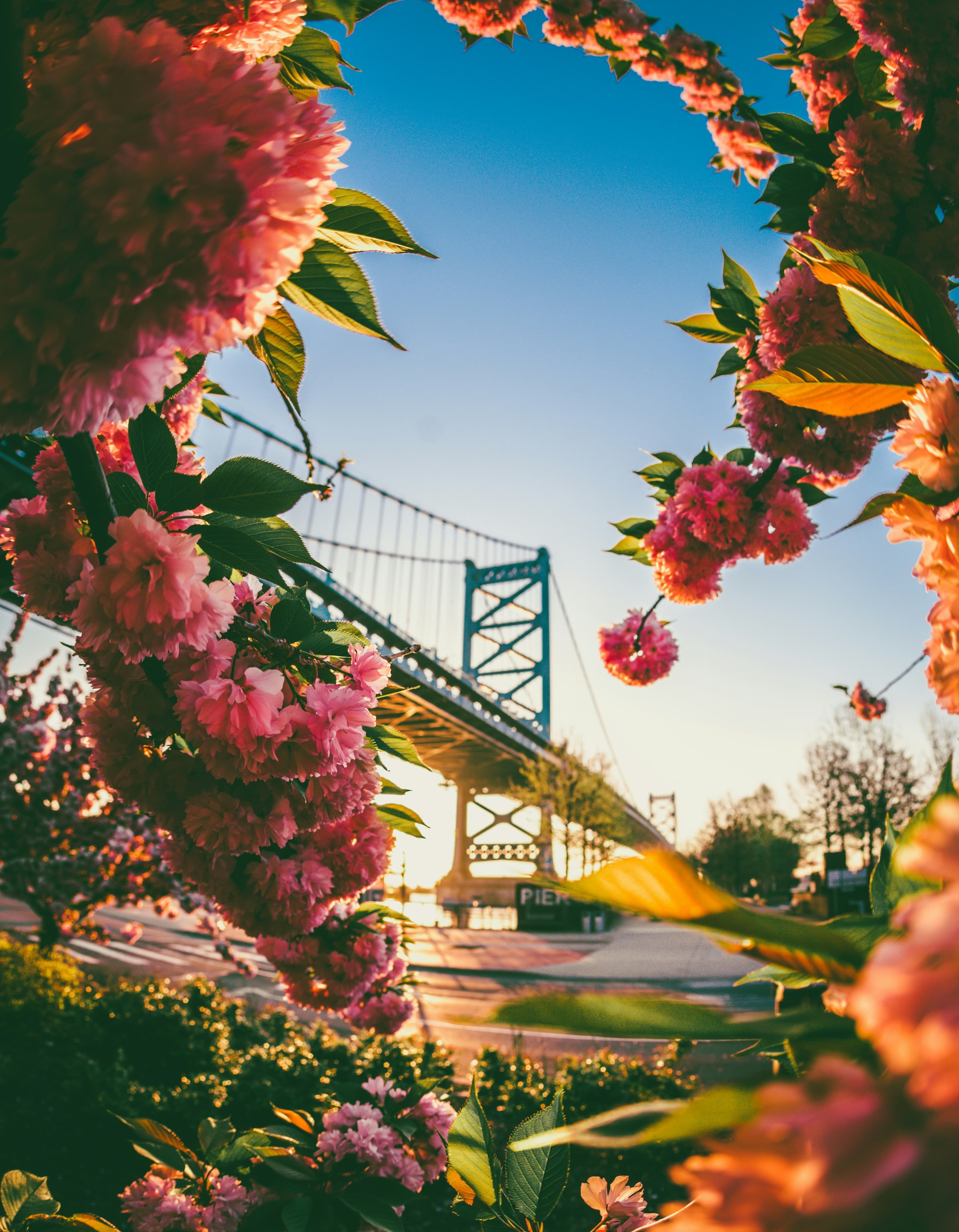 Interactive template map of Philadelphia Wedding Map